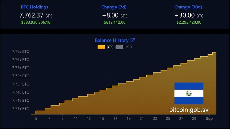 
			Несмотря на оговорки МВФ, запасы биткойнов в Сальвадоре выросли до 7 762 BTC		