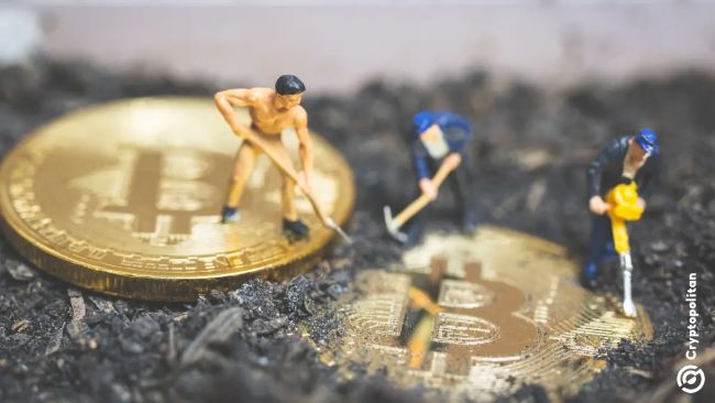 
			Акции BTC-майнеров падают с пиков 2026 на фоне бумового нарратива вокруг ИИ		